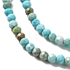 Natural Howlite Beads Strands G-C025-02A-06-4