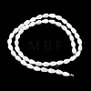 Natural White Shell Beads Strands SH-CBAF49A-03-4