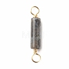 Natural Larvikite Connector Charms PALLOY-JF01454-05-3