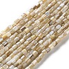 Natural Freshwater Shell Beads Strands SSHEL-B002-17-1