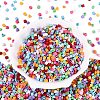 FGB Baking Paint Glass Seed Beads SEED-Q040-09A-M02-2