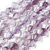 Inner Flower Handmade Lampwork Beads Strands LA-CBA3F7A-02E-1