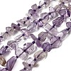 Natural Amethyst Beads Strands G-D365-E03-01-2