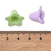 Baking Paint Opaque Acrylic Beads AC-CBAC788-02A-3