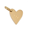 304 Stainless Steel Charms STAS-L291-01G-B-1
