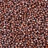 Picasso Glass Seed Beads GL-N001-01A-10-3