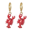 2 Pairs Zinc Alloy Leverback Earrings EJEW-JE06911-4