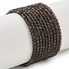 Natural Smoky Quartz Beads Strands G-Z164-B01-2.5mm-2