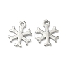 Alloy Pendants PALLOY-P317-10P-1