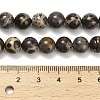 Natural Astroite Jasper Beads Strands G-F814-A01-8mm-5