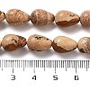 Natural Picture Jasper Beads Strands G-B106-A18-02-5