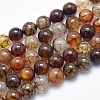 Natural Dragon Veins Agate Beads Strands G-K256-62-10mm-1
