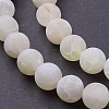 Natural Weathered Agate Beads Strands G-G589-10mm-03-3