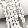 Natural Howlite Beads Strands G-C286-A20-1