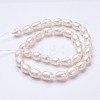 Natural Cultured Freshwater Pearl Beads Strands PEAR-P002-13-01-2