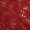 Baking Paint Glass Seed Beads X-SEED-S042-05B-89-3