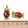 Natural Red Jasper Pendant KK-F887-02G-19-3