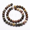 Natural New Ocean Jasper Bead Strands G-G954-01-8mm-3