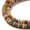 Natural Crazy Lace Agate Beads Strands G-K343-C04-02-4