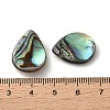 Natural Paua Shell Beads SSHEL-F305-02B-3