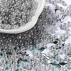 Glass Seed Beads X1-SEED-H002-E-A1420-1