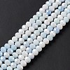 Faceted Electroplated Glass Beads Strands GLAA-C023-02A-6