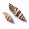 Natural Spiral Shell Beads SSHEL-S258-91-3