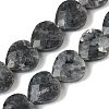 Natural Larvikite Beads Strands G-A309-A18-01-2