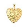 304 Stainless Steel Pendants STAS-C163-04C-G-1