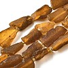 Raw Rough Natural Amber Beads Strands G-B125-C01-02-2