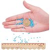 8/0 Round Glass Seed Beads SEED-PH0005-05-6