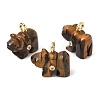 Natural Tiger Eye Carved Pendants G-H357-02G-11-1