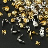 Stainless Steel & Brass & Iron
Bead Tips FIND-FS0002-49-3