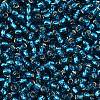TOHO 8/0 Round Beads SEED-XTR08-0023BD-2