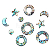 12Pcs 6 Styles Natural Abalone Shell/Paua Shell Beads SSHEL-DC0001-01-1