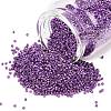 MIYUKI Delica Beads X-SEED-J020-DB2508-1