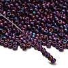 TOHO 6/0 Round Beads X-SEED-TR06-0704-2