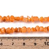 Natural Freshwater Shell Beads Strands SHEL-N037-04F-4