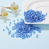 6/0 Glass Seed Beads SEED-YW0001-25I-5