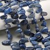 Natural Blue Aventurine Beads Strands G-P604-A18-01-1
