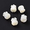 Natural Trochid Shell/Trochus Shell Beads SHEL-P014-01-2