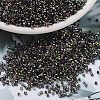 MIYUKI Delica Beads SEED-MY11-DB2205-1