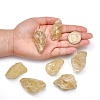 Rough Raw Heated Natural Citrine Beads LS-G-F710-07-4