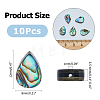 10Pcs Abalone Shell/Paua Shell Beads SSHEL-FI0001-01-2