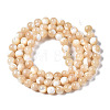 Natural Trochid Shell/Trochus Shell Beads Strands X-SSHEL-S266-023B-02-2