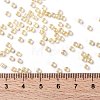 TOHO Round Seed Beads SEED-XTR08-0770-3
