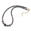 Natural Larvikite Round Graduated Beaded Necklaces NJEW-JN05654-03-4