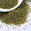 MIYUKI Delica Beads SEED-MY11-DB2164-1
