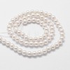 Shell Pearl Beads Strands X-BSHE-L025-01-6mm-2