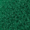 TOHO Round Seed Beads SEED-JPTR08-0072F-2